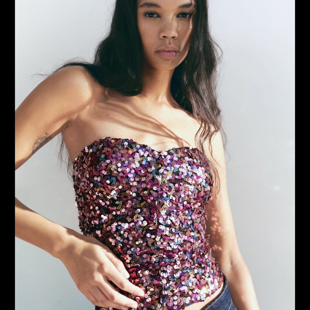 NWT Zara Sequin Crop Top